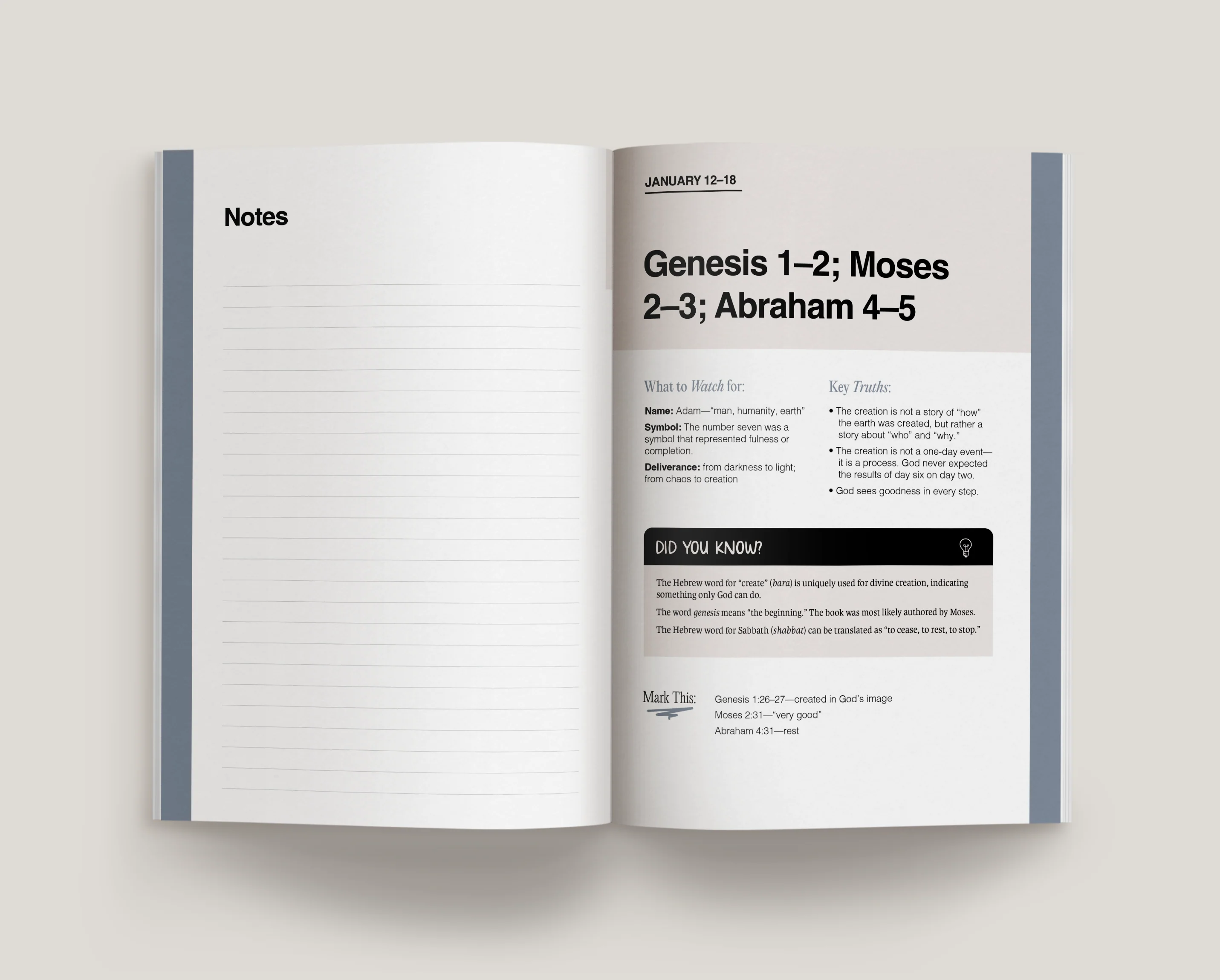 Don't Miss This 2026 Old Testament Study Journal - Image 5