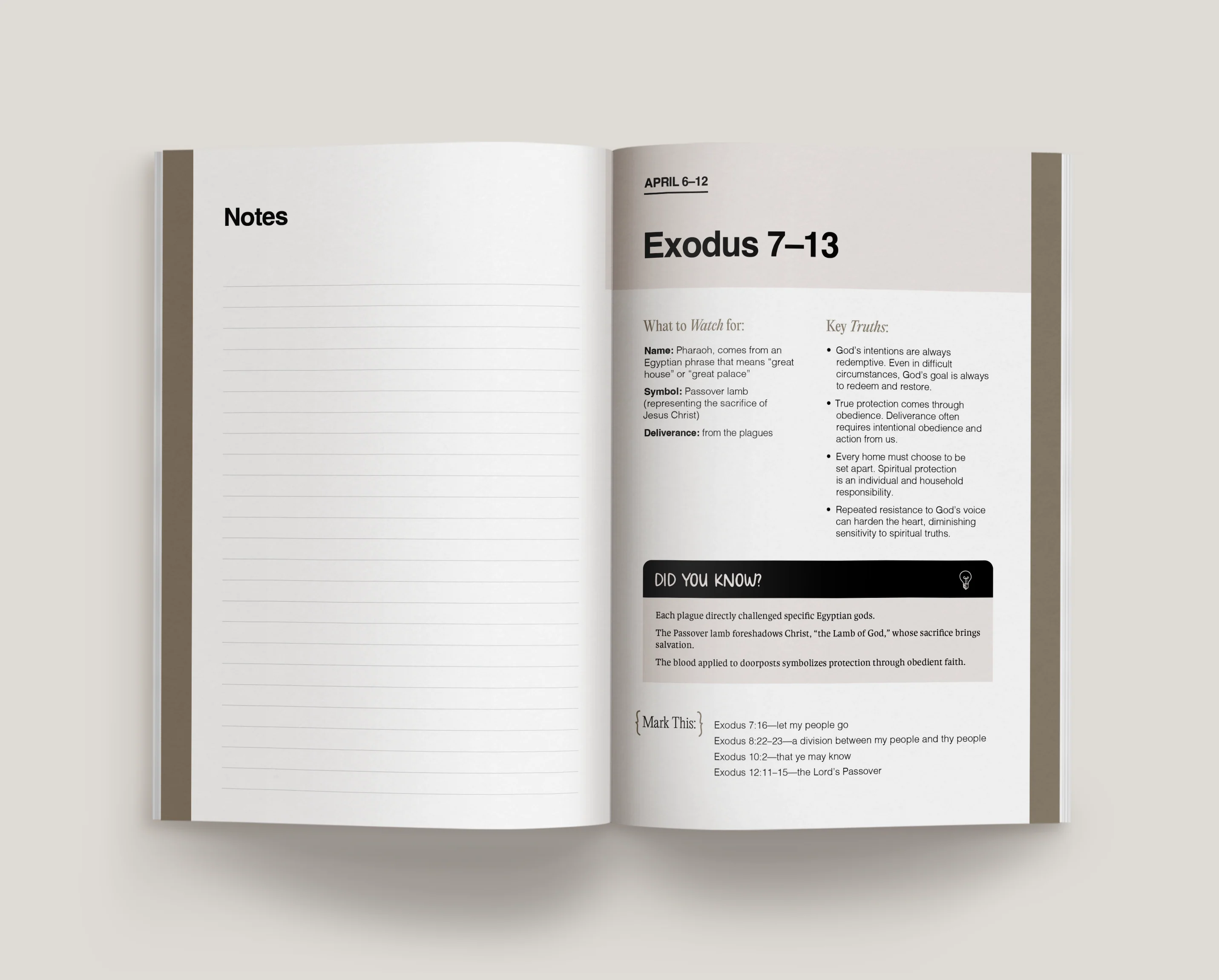 Don't Miss This 2026 Old Testament Study Journal - Image 7